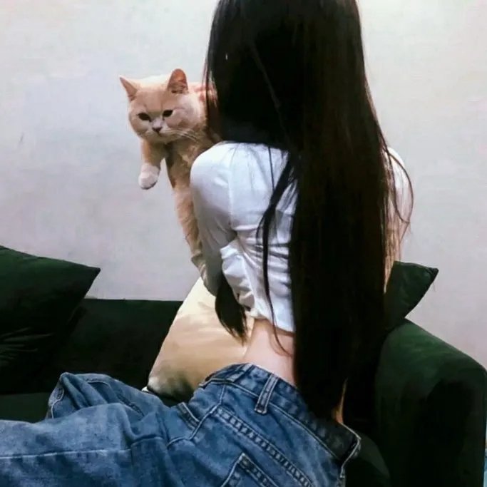 最佳女婿